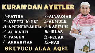 Fatiha Ayetel Kürsi Amenerrasulü Kafirun İhlas Felak Nas Yaseen AlWaqiah Kahfi Kuranı Kerim Rukye [upl. by Salvador]