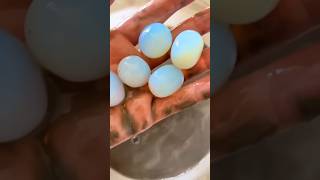 OPALINE OPALITE Eggs 🪺  Syn Gemstone  opaline synthetic glass shorts [upl. by Cynde]