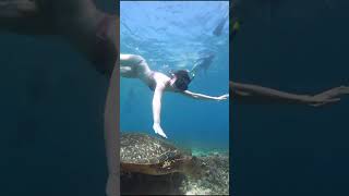 Snorkeling Gili Islands [upl. by Poul]