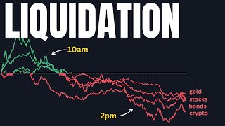 Does Todays Liquidation Foreshadow a STOCK MARKET CRASH [upl. by Beaver595]