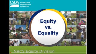 Equity vs Equality [upl. by Anicnarf]