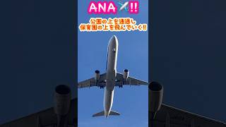 🟢✈️低空飛行で保育園を越えるANA‼️芝生広場で見た👀‼️豊中市 ana 低空飛行 全日空 おすすめスポット aviation エアライン 飛行機 shorts [upl. by Yolanthe62]