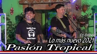 Pasión Tropical Con Nino Román Videoclips [upl. by Mlawsky]