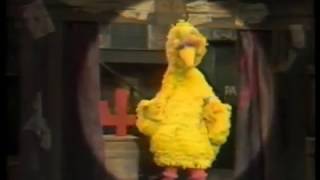 Sesame Street  Big Bird and the gang sings about the number 4 Four [upl. by Nnylyoj214]