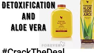 Aloe Vera Gel  Detoxification  Part  2  Hindi  Ankit Jain  FLP  Nutrition [upl. by Allenad]