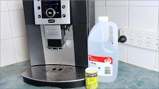 Homemade Coffee Descaler  How to video [upl. by Tlok404]