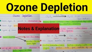 Ozone layer depletion  Depletion of ozone layer  Ozone hole  what is ozone depletion [upl. by Gatias110]