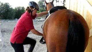 Correct Mounting Method for Treeless or ANY Saddle [upl. by Atinot]