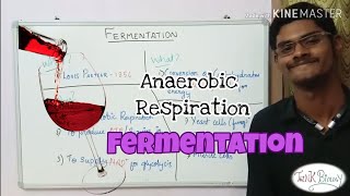 Fermentation  Anaerobic Respiration  Tamil  ThiNK BIOLOGY  tnkumaresan  ThiNK VISION [upl. by Nohtanhoj936]