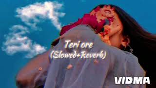 Teri ore SlowedReverb Full lovely lofii song 🙊🌎 [upl. by Ennasirk]