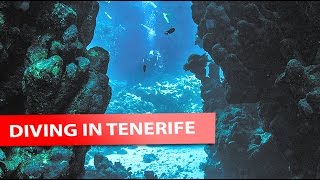 Diving in Tenerife What to expect [upl. by Berkie147]