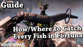 Warframe  WhereHow To Catch Every Fish In FortunaOrb Vallis Guide [upl. by Eerot]