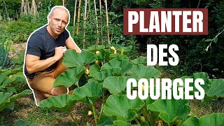 Tuto jardin  Comment planter des courges [upl. by Heigl]