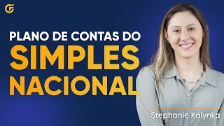 PLANO DE CONTAS PARA EMPRESAS DO SIMPLES NACIONAL BAIXE O MODELO [upl. by Learrsi]