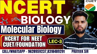 NCERT Biology Classes 2024  Molecular Biology 03 NCERT Complete Preparation for CUET EXAM [upl. by Nilok]