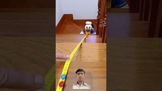 donaldduck patitofeo funny duck memes birds diy satisfying ironwelding tips [upl. by Annodahs]