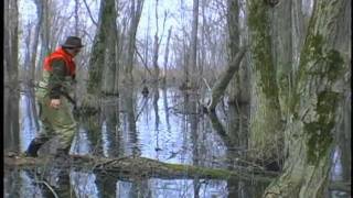 Spearing and Shooting  Grand Isle Vermont [upl. by Eellac]