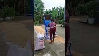 Your Grain Bagger idea agriculture farming agriculturalequipment grain grainmarketing [upl. by Aynatahs]