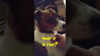 Ernesto Reacts  quot A palavra Rquot parte 5 cachorrao cachorroesperto humor memes pets cachoro [upl. by Zednanreh360]