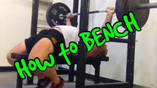 How to Bench Press [upl. by Celie]