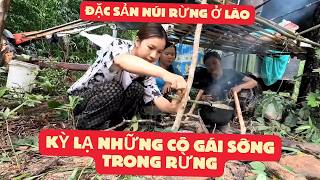 KHÁM PHÁ KHU RỪNG CÓ RẤT NHIỀU ĐẶC SẢN LOẠI ĐẶC BIỆT QUÝ HIẾM Ở LÀO [upl. by Doley376]