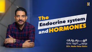 The Endocrine systemHormones DiscoveryTypes of Glandsتالته ثانوي بيولوجي ثانويةعامةbiology [upl. by Nolak]