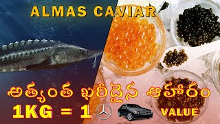 Almas Caviar  Worlds Most Expensive Food [upl. by Pathe]