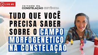 Tudo Que Você Precisa Saber Sobre o Campo Morfogenético na Constelação [upl. by Oivatco]