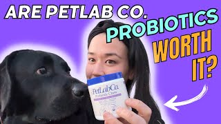 Do PetLab Cos Probiotic Chews Actually Work  Honest Review [upl. by Aihn]