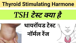 TSH Test in Hindi  Thyroid Stimulating Harmone  tsh report in hindi [upl. by Revned]