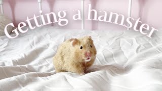 GETTING A SYRIAN HAMSTER  VLOG 🌸🐹 [upl. by Mendy]