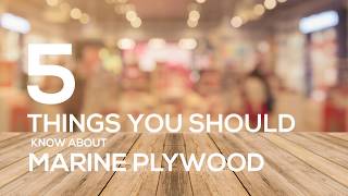 Marine Plywood  What is Marine Plywood 5 Things you should know about Marine Plywood [upl. by River533]