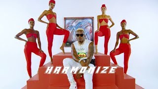 Harmonize x Rayvanny  Paranawe Official Video  COVER [upl. by Ellatsirhc]