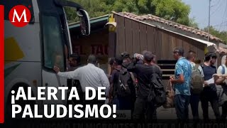 Alerta de paludismo en Veracruz activa vigilancia de autoridades migratorias [upl. by Repsihw]