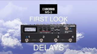 First Look At The BOSS MS3 Delays [upl. by Niac230]