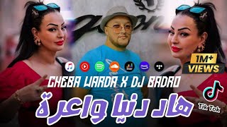 Cheba Warda × Dj Badro  Hadi Denya Wa3ra  Beat Trap Rai  2024 [upl. by Ahsatin]