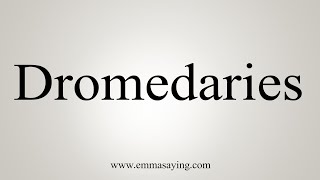 How To Say Dromedaries [upl. by Acima]