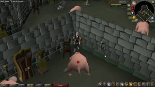 OSRS Bloodveld safe spot Range  Slayer Tower  2024 [upl. by Natsirhc]