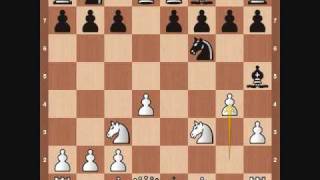 Chess Openings Blackmar Diemer Gambit [upl. by Ahsekel83]