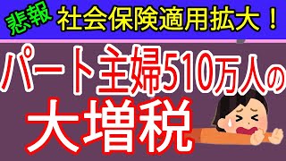 【速報】パート主婦の社会保険適用拡大について２０２４年１０月改正内容と厚生労働省発表資料を札幌の税理士が簡単解説します（106万円の壁／130万円の壁／社保扶養） [upl. by Anrim]