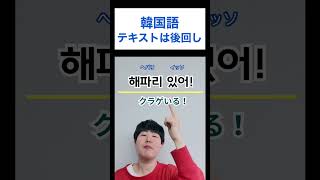 アイドルと勉強する韓国語｜セブチ｜セブンティーン [upl. by Acker239]