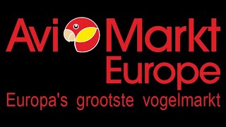 Avimarkt Europe  The biggest bird market in Europe [upl. by Haim]