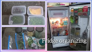 fridge organization  fridge organizer  chotta fridge kaise organize rakhe [upl. by Standush]