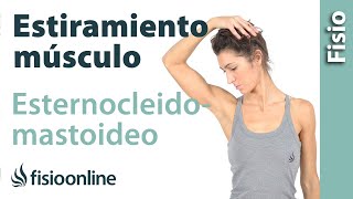 Automasaje para músculo esternocleidomastoideo  Relajar tensión cervical [upl. by Briant]