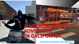 Creepy Encounters on my San Francisco Trip Haunted Queen Anne Hotel Alcatraz amp Waymo Car [upl. by Sakul345]