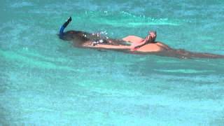 Snorkeling Anguilla Shoal Bay [upl. by Amat]