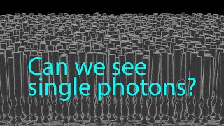 Can we see single photons [upl. by Peadar]