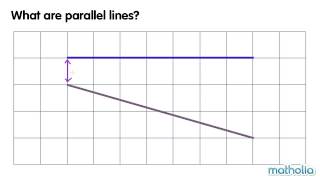 Parallel Lines [upl. by Wills]