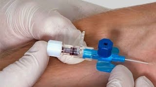 IV Cannulation Procedure ll Intravenous Cannulation Technique youtube viral aiims ivcannula [upl. by Nyletak]