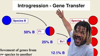 ZA Teaches You 3 BackCrosses To Add To Your Tool Box Plus What You Didn’t Know [upl. by Bolen460]